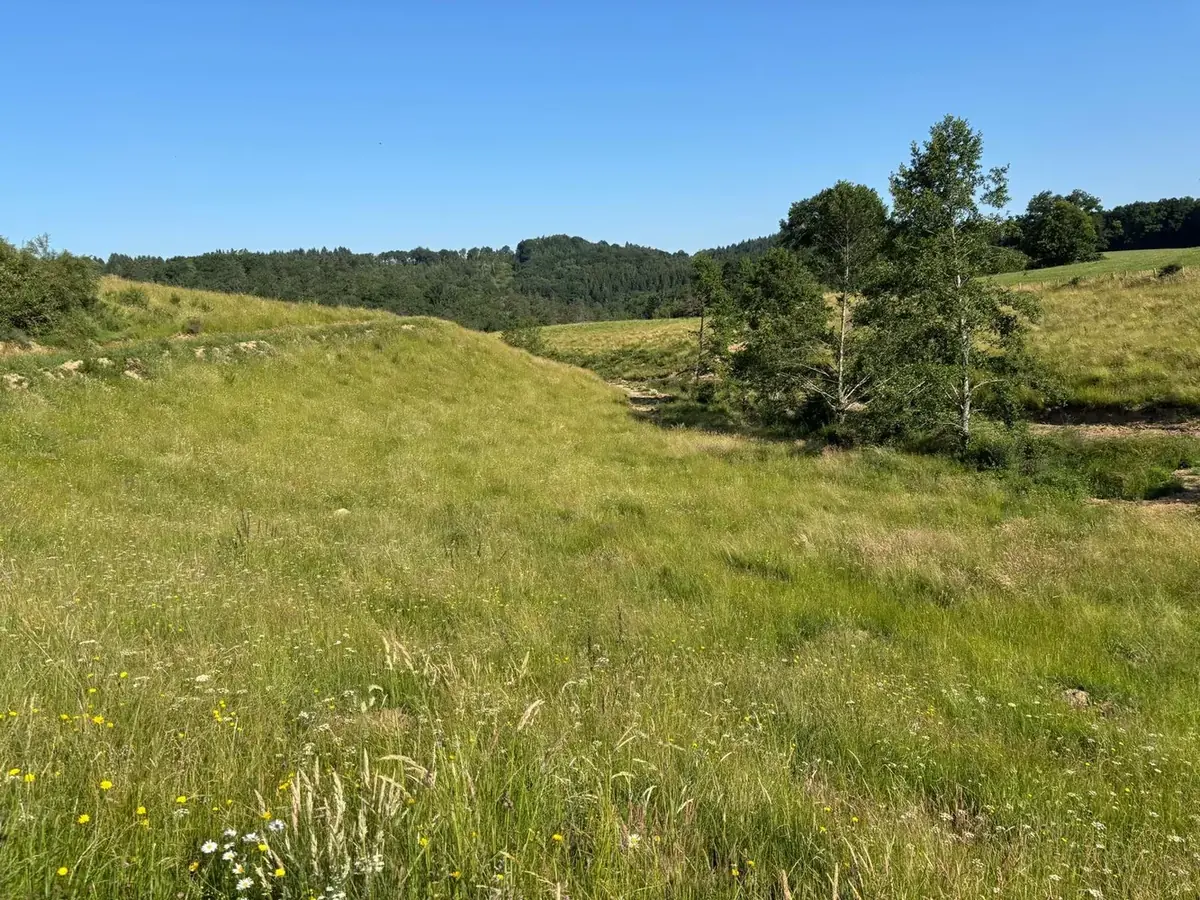 le bois de sans souci — photo 3