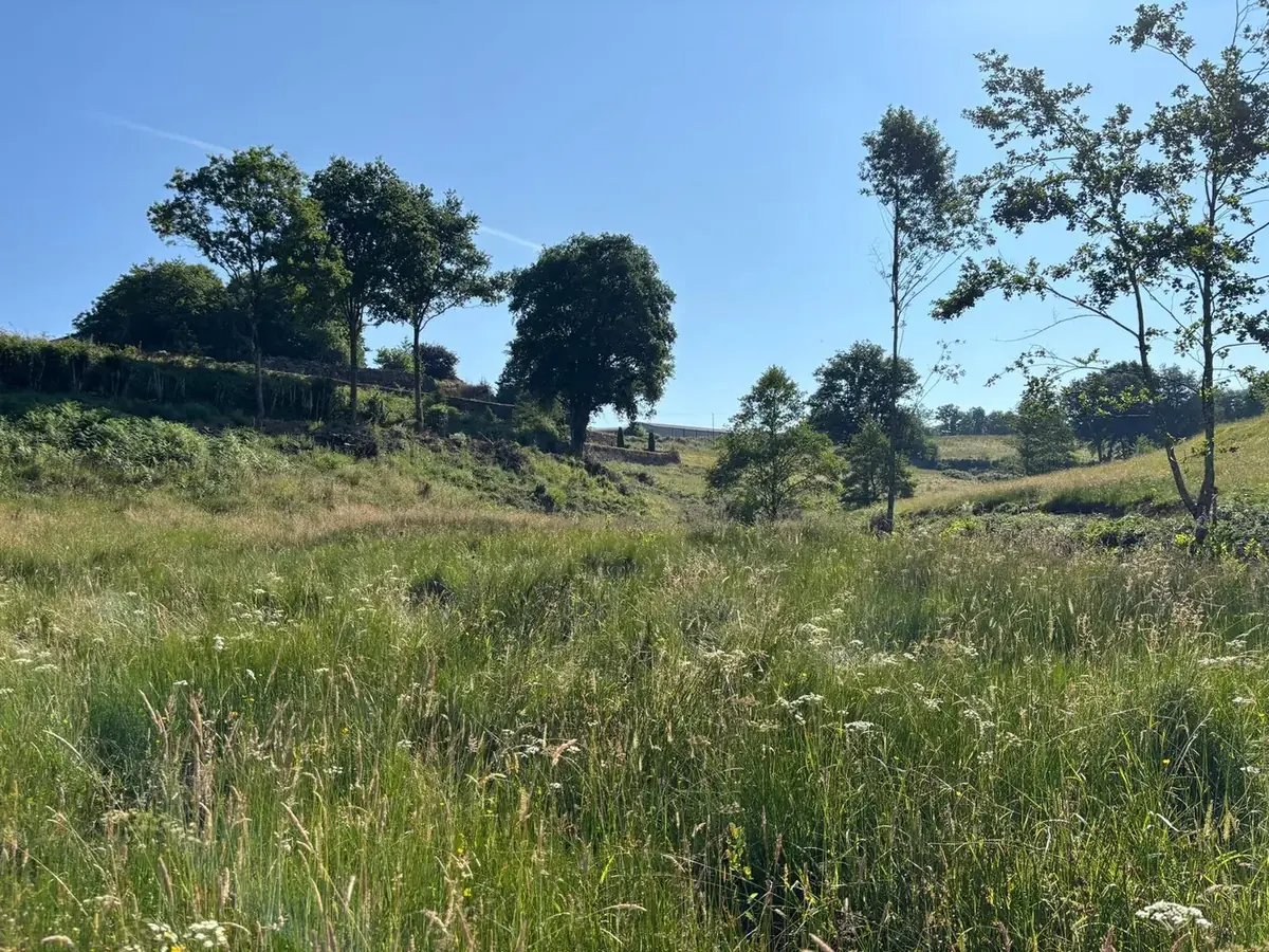 le bois de sans souci — photo 5