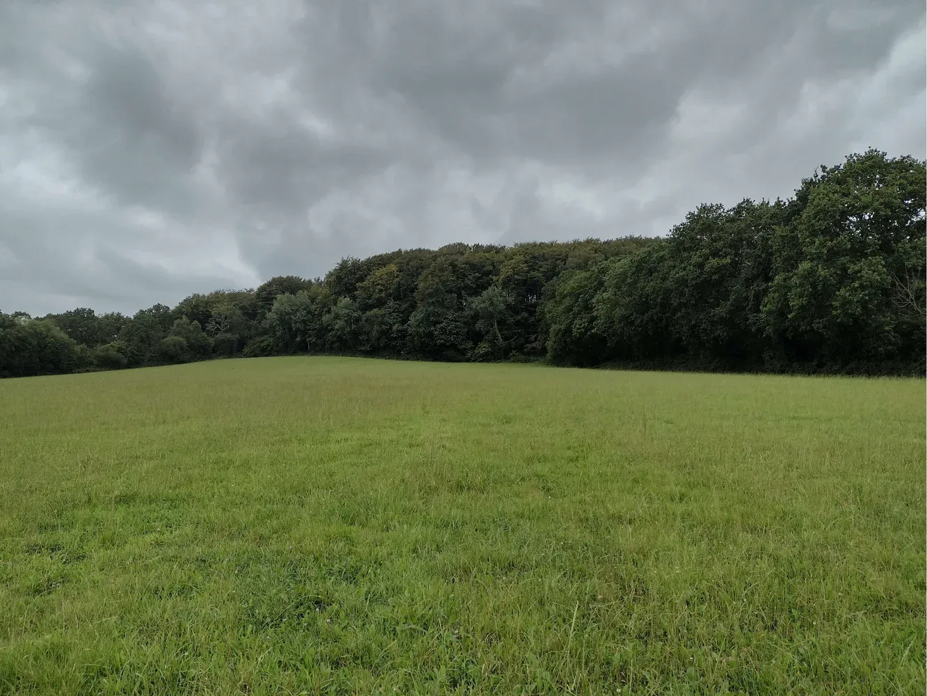 le bois de la sainterie — photo 1