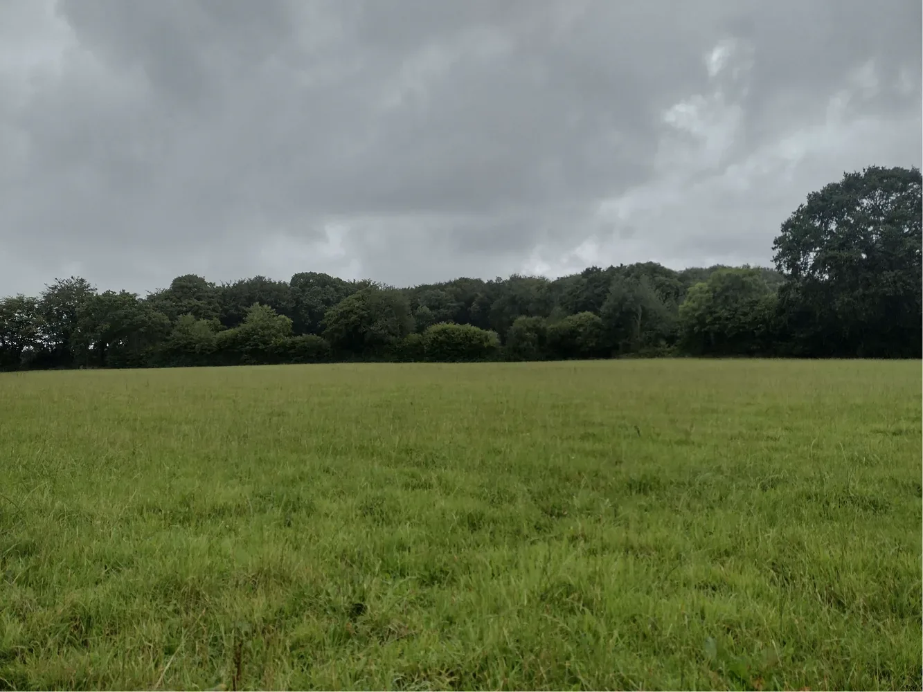 le bois de la sainterie — photo 2