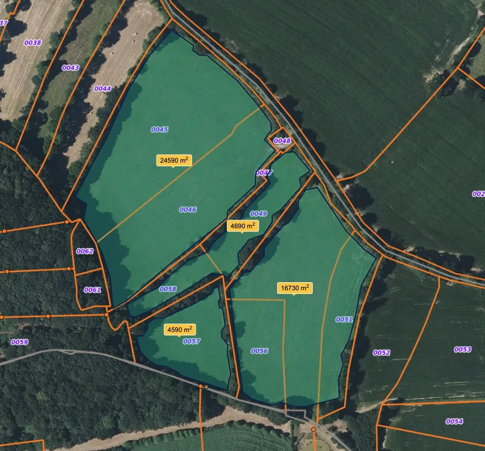 le bois de la sainterie — photo 3