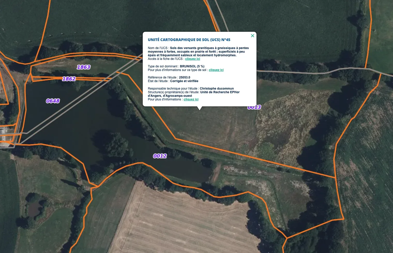 le bois du milieu — photo 4