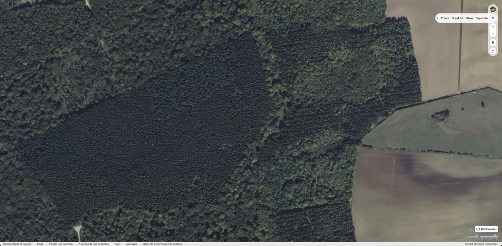 le bois du tremblot de dagonville — photo 5