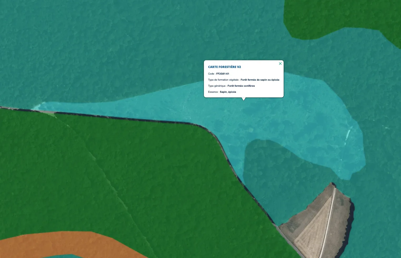 le bois des ambres — photo 3