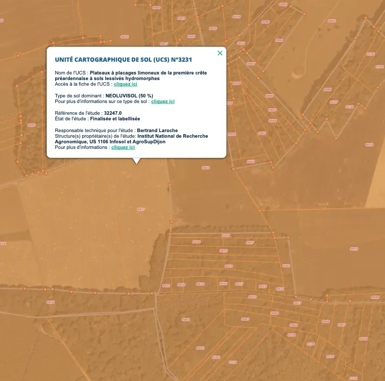 le bois de la borne — photo 1