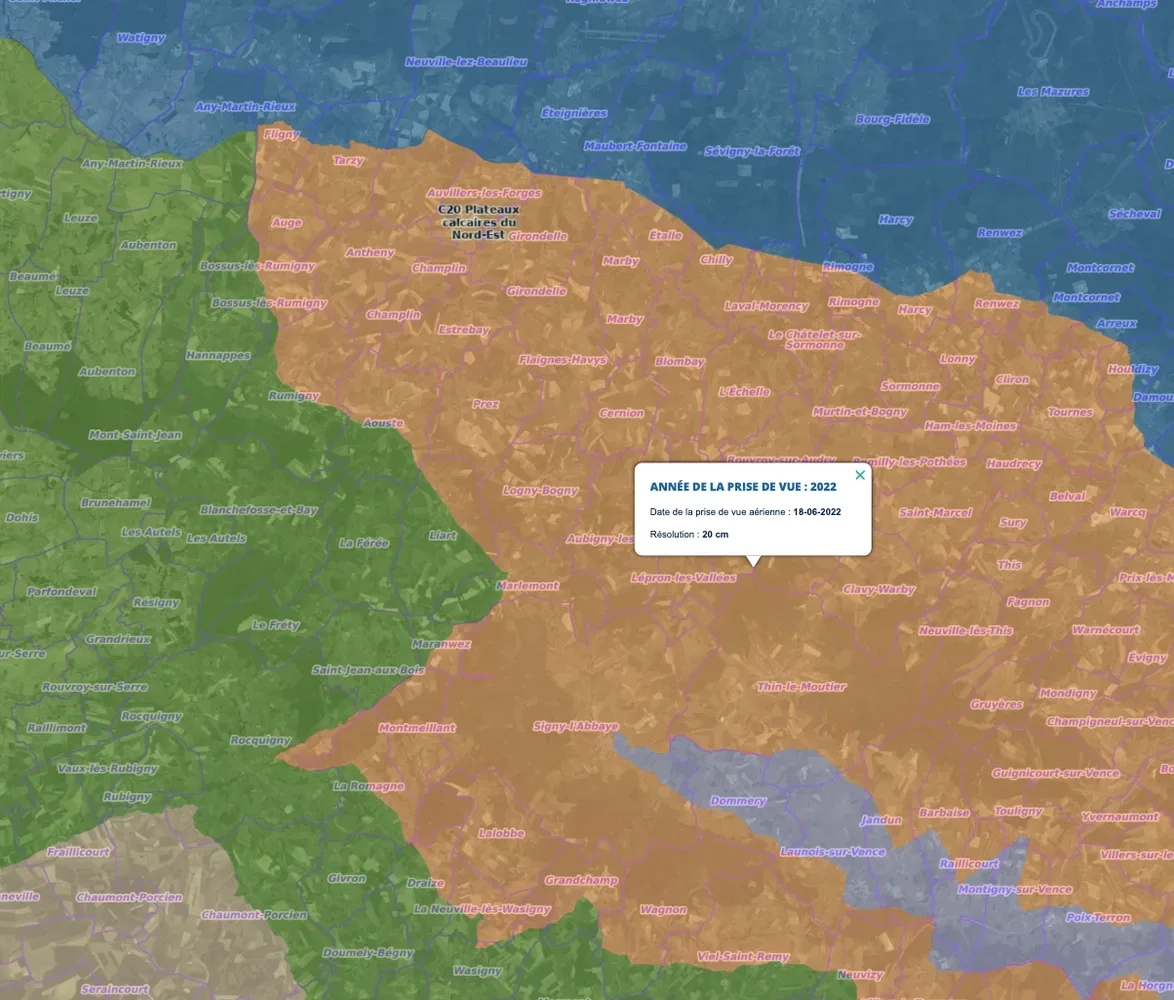 le bois de la borne — photo 4