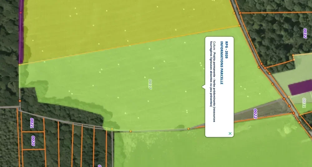 le bois de la borne — photo 5