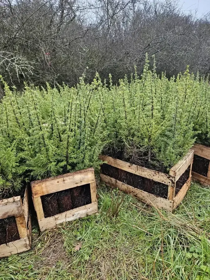 le bois de la clinerie — photo 2