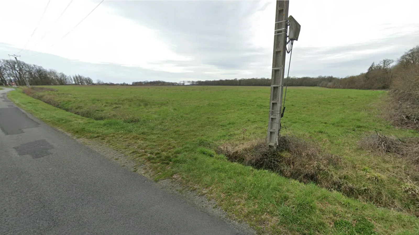 le bois de la popliniere — photo 2