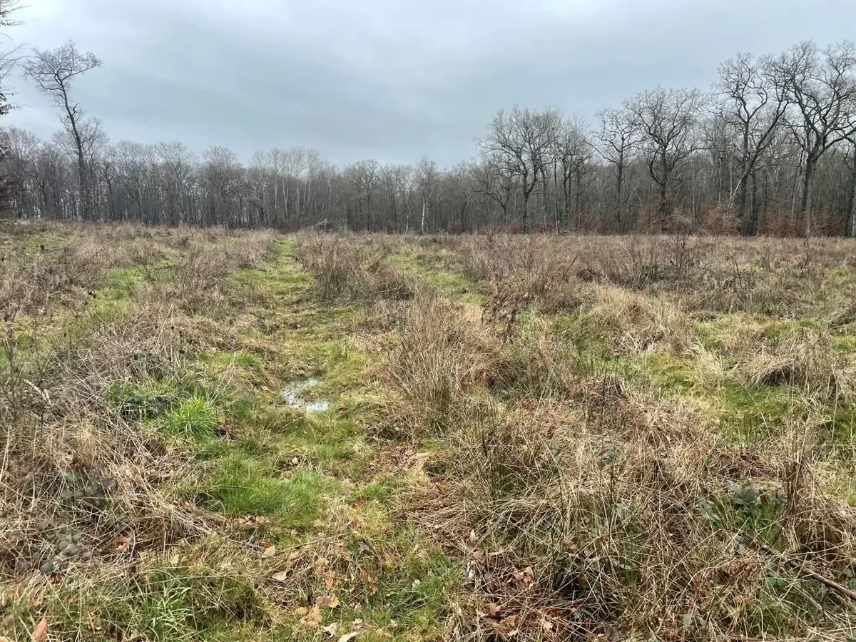 le bois de rosemont — photo 5