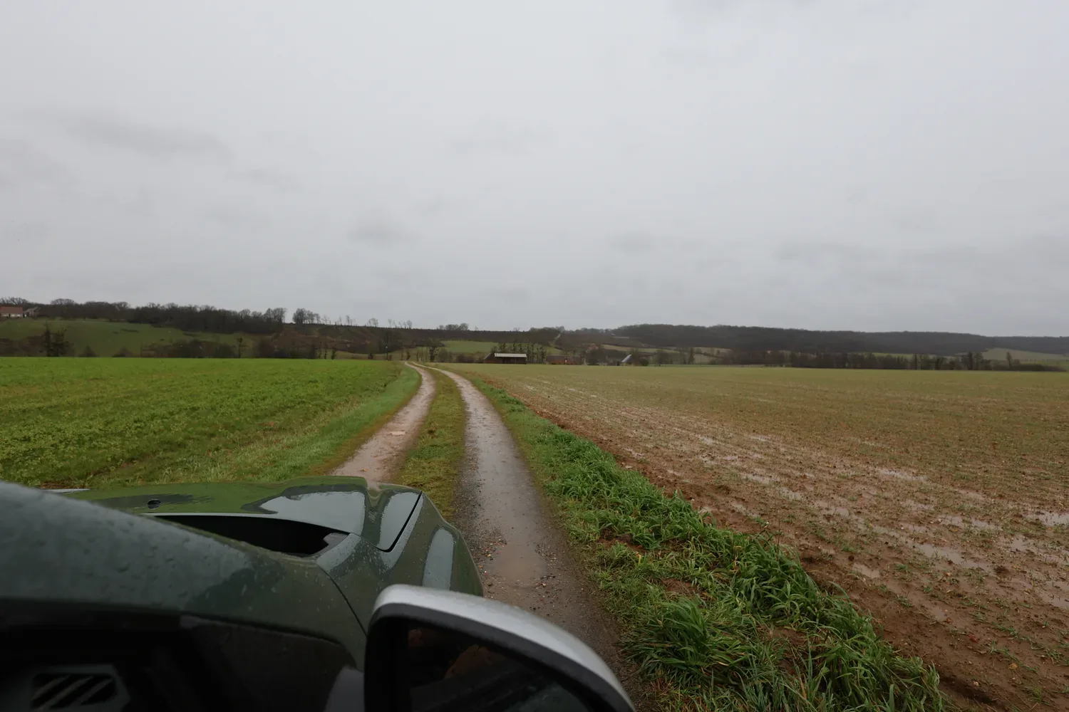 le bois de bellangere — photo 2