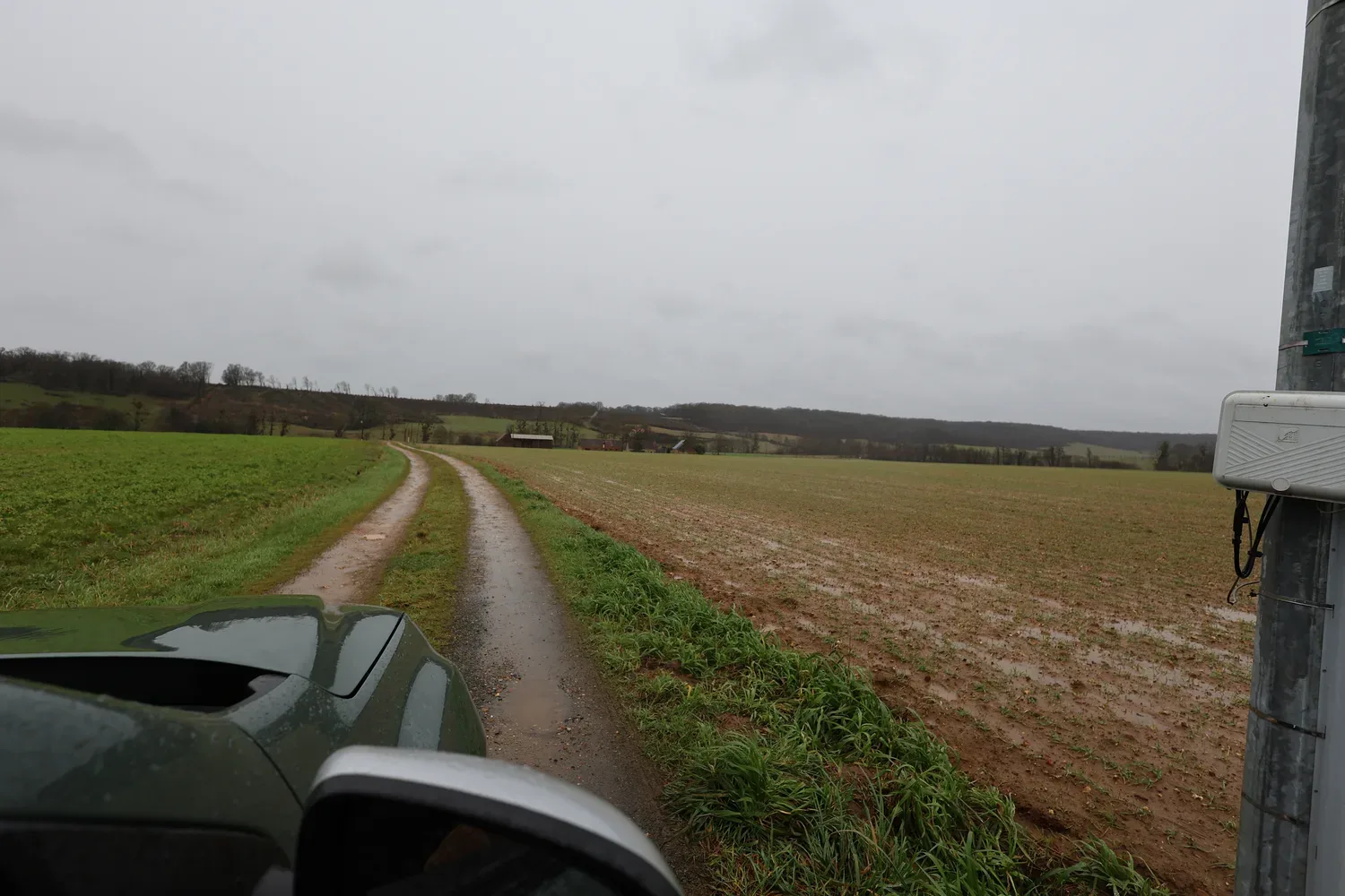 le bois de bellangere — photo 3