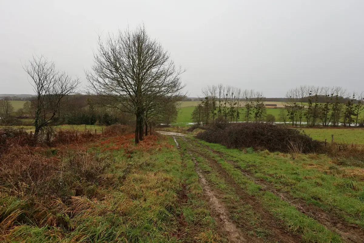 le bois de bellangere — photo 4