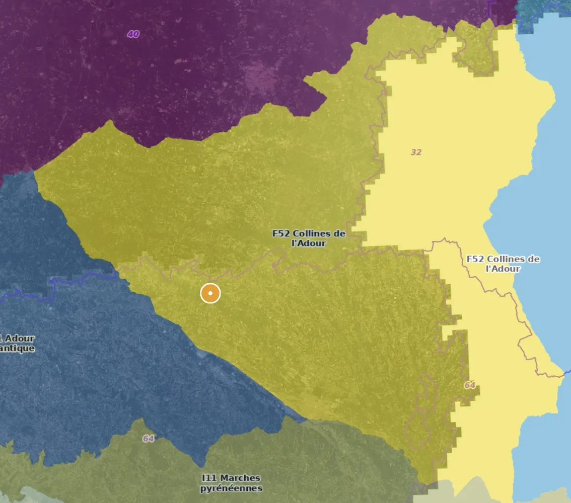 le bois du castel — photo 4