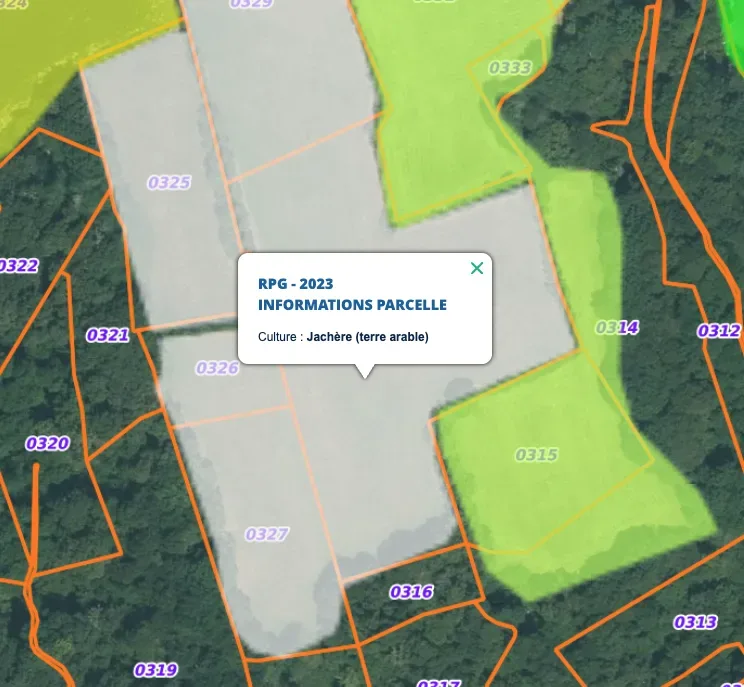 le bois du castel — photo 5